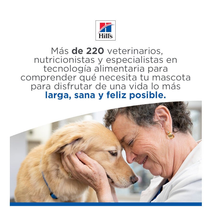 85 g Hill's Science Plan Adult Ternera Sobre en Salsa para gatos, , large indicador imagen numero 10