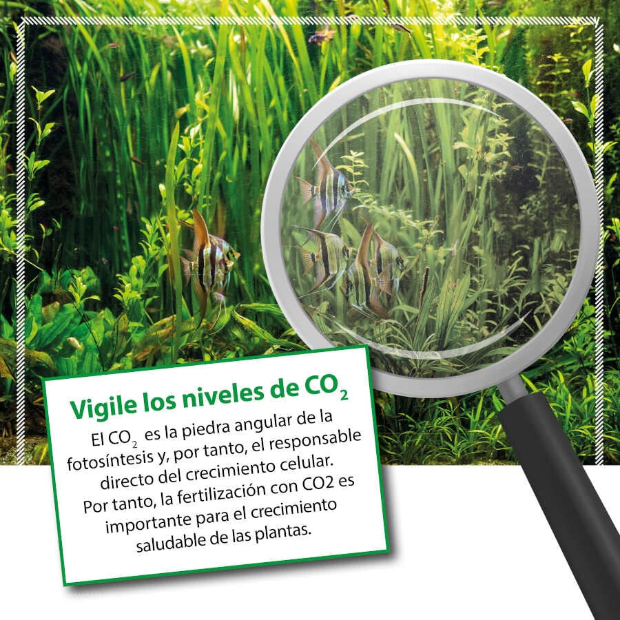 Microbe-Lift Bio CO2 Fertilizante L&iacute;quido de Carbono para acuarios, , large indicador imagen numero 3