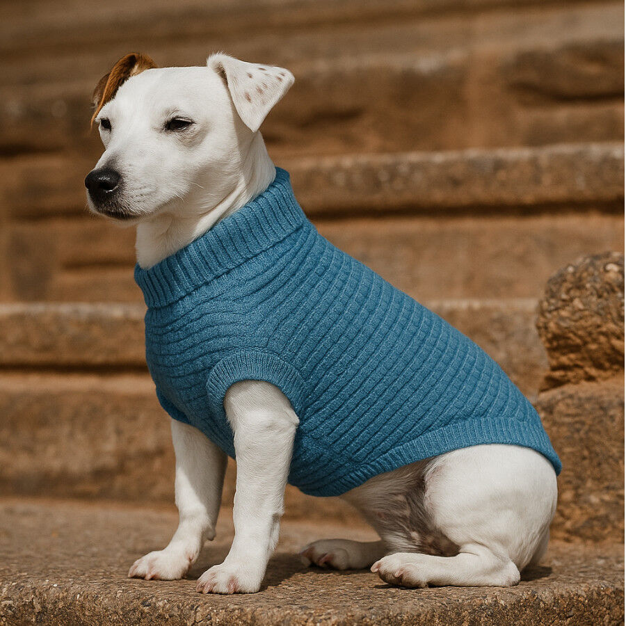 Freedog Jersey Frapp Azul para perros, , large indicador imagen numero 1