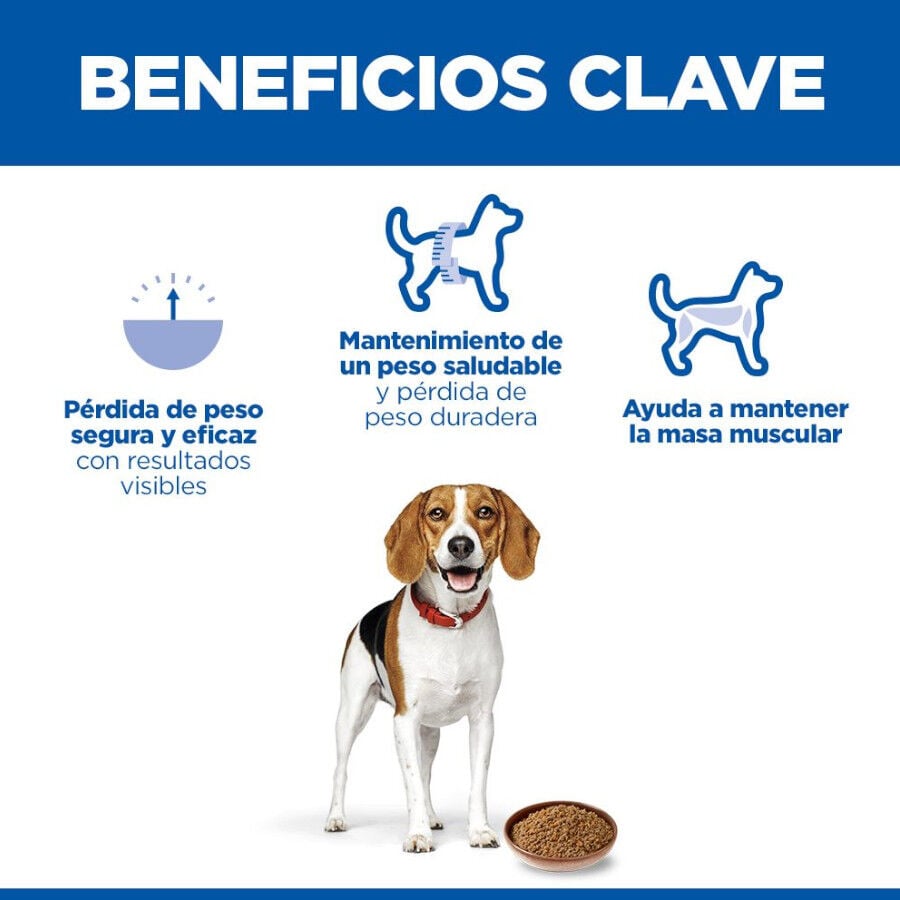 363 g Hill's Adult Perfect Weight Pollo y Vegetales lata para perros, , large Imagen numero 5