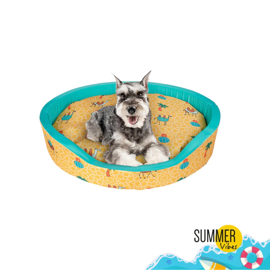 Summer Vibes Camel Fresh Cama refrescante para perros