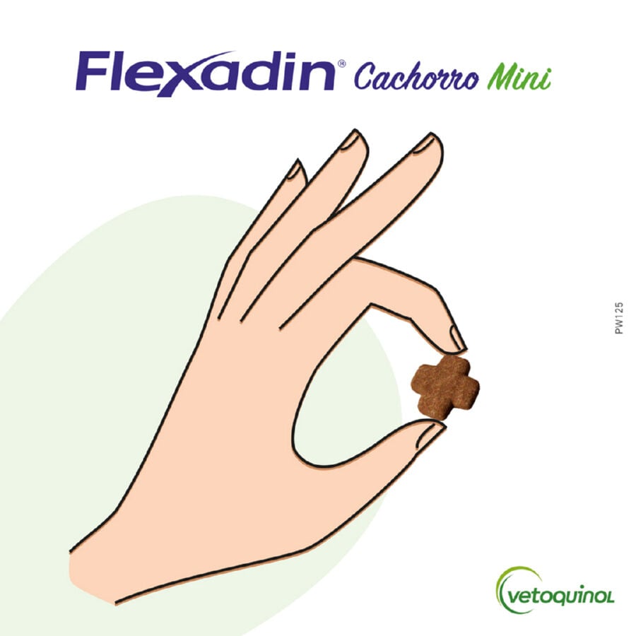 Vetoquinol Flexadin Young Mini Condroprotector para perros, , large Imagen numero 2