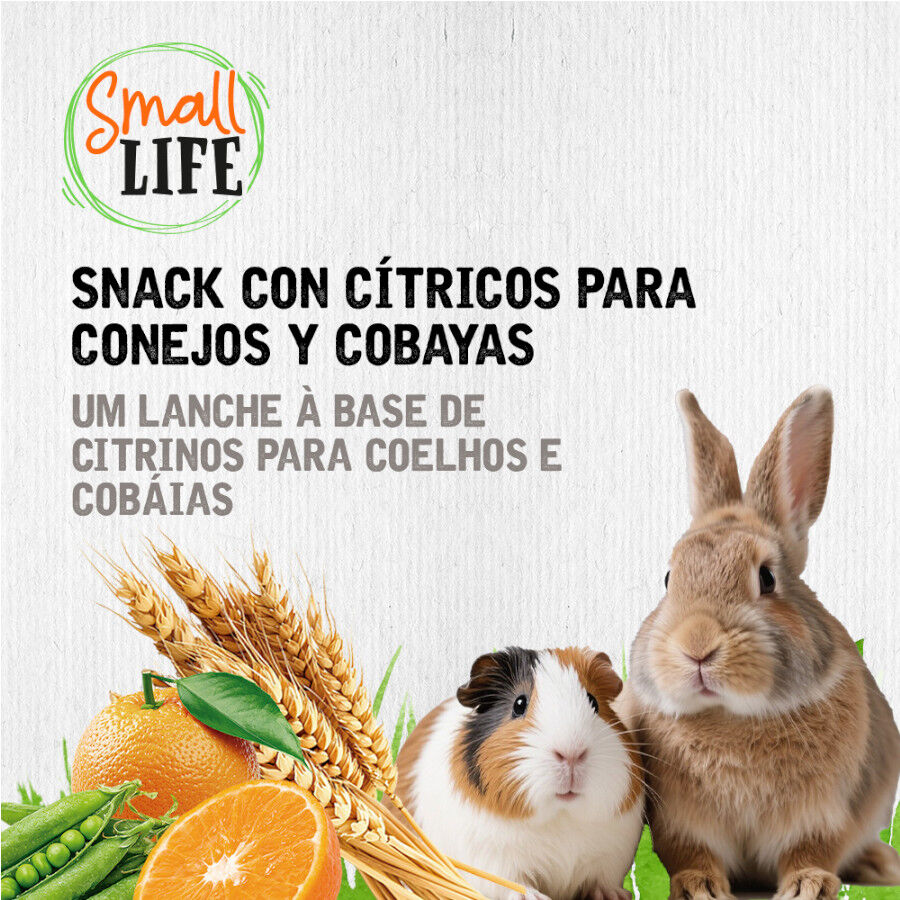 2 barritas Small Life Barritas Snack con C&iacute;tricos para conejos y cobayas, , large indicador imagen numero 4