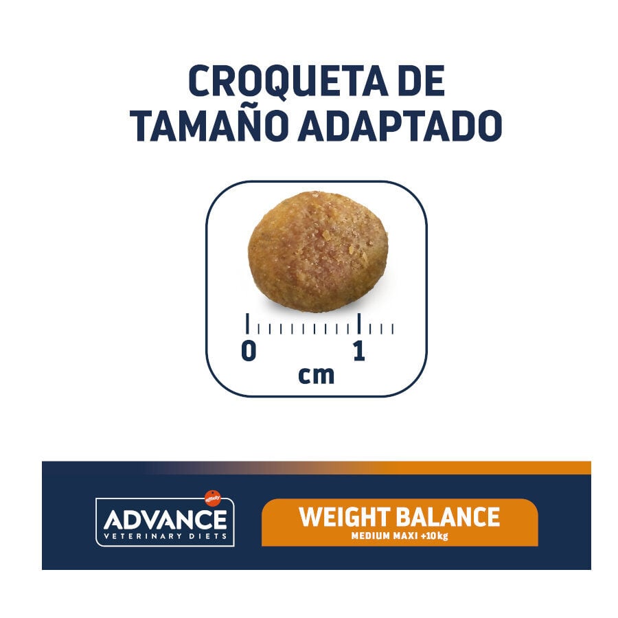 12 kg Advance Veterinary Diets Medium Maxi Weight Balance pienso para perros, , large indicador imagen numero 4