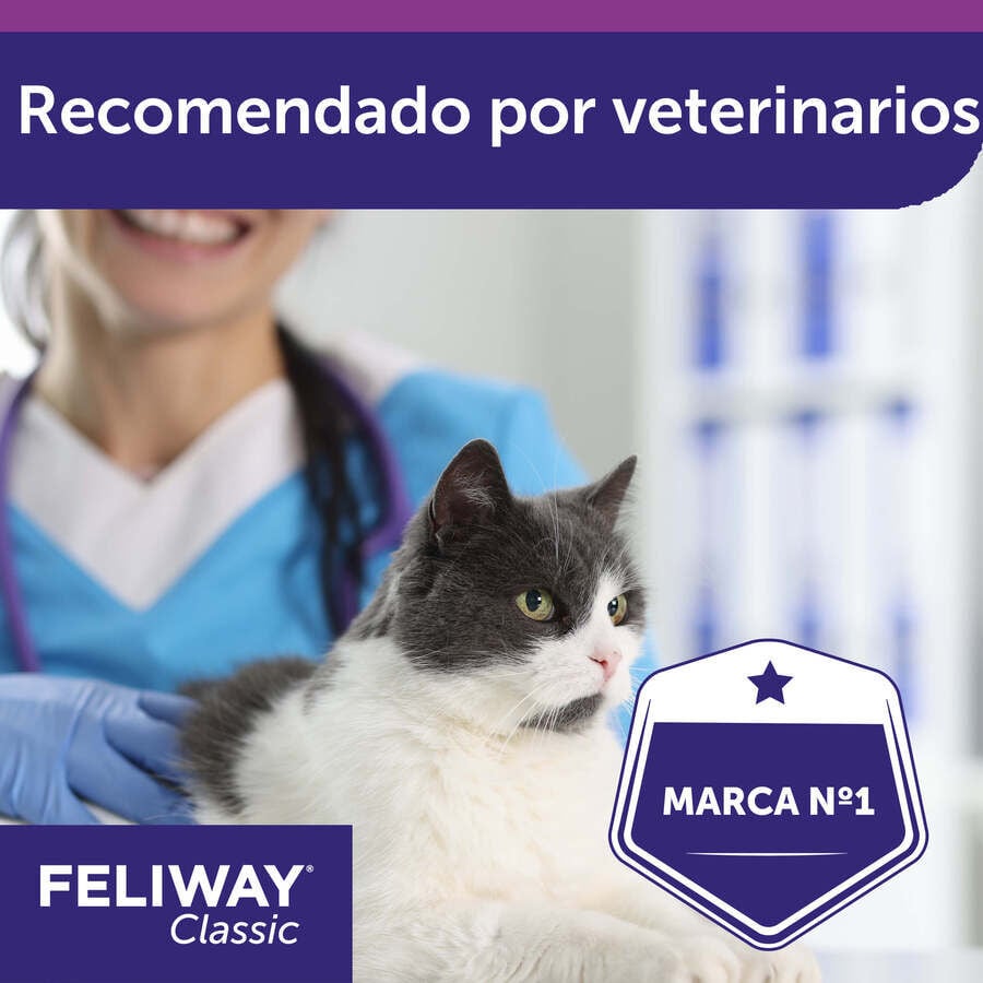 Feliway Classic Difusor y/o Recambio Tranquilizante para gatos, , large Imagen numero 9