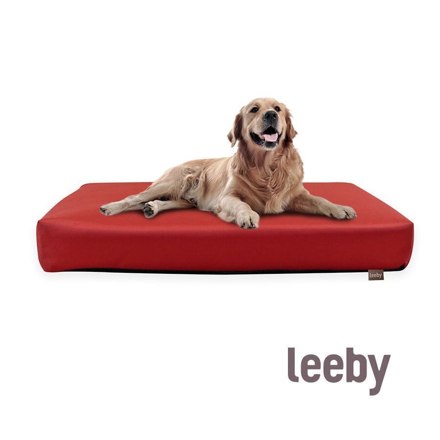 Leeby Coj&iacute;n Waterproof Anti Pelos Rojo para perros, , large Imagen numero 2