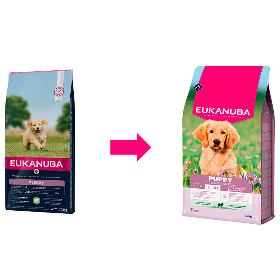12 kg Eukanuba Puppy Large Cordero y Arroz pienso para perros, , large indicador imagen numero 1