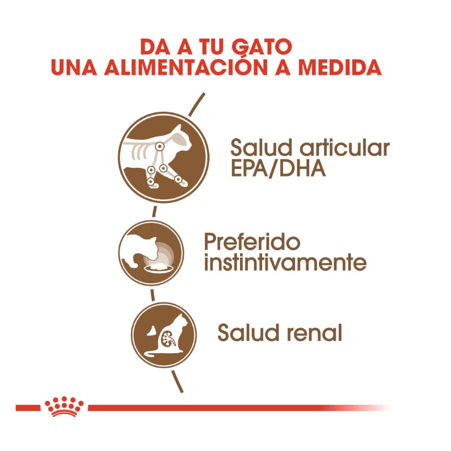 85 g Royal Canin Ageing 12+ gelatina sobres para gatos&nbsp;senior, , large Imagen numero 5