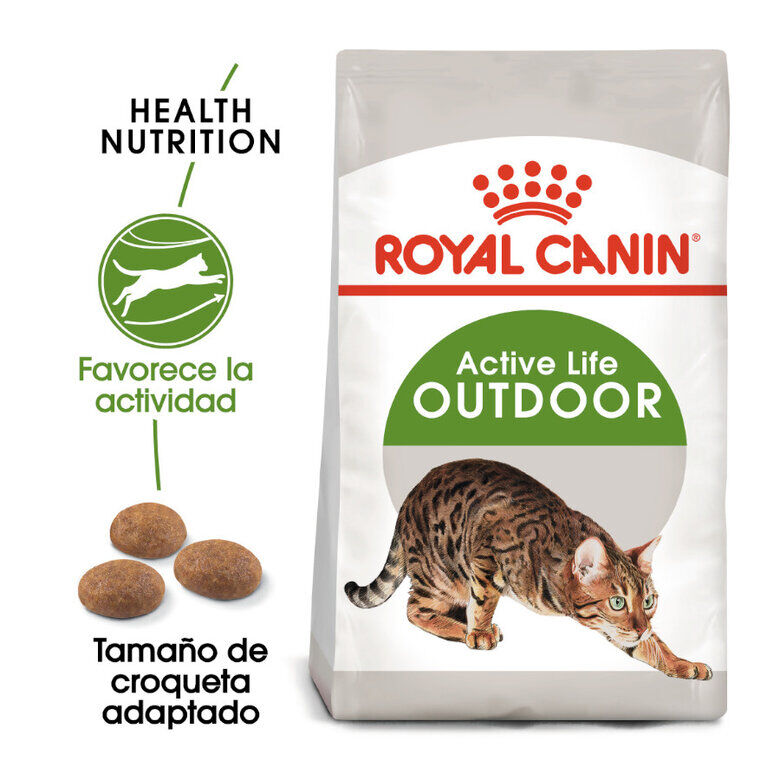 10 kg Royal Canin Active Life Outdoor pienso para gatos, , large indicador imagen numero 2