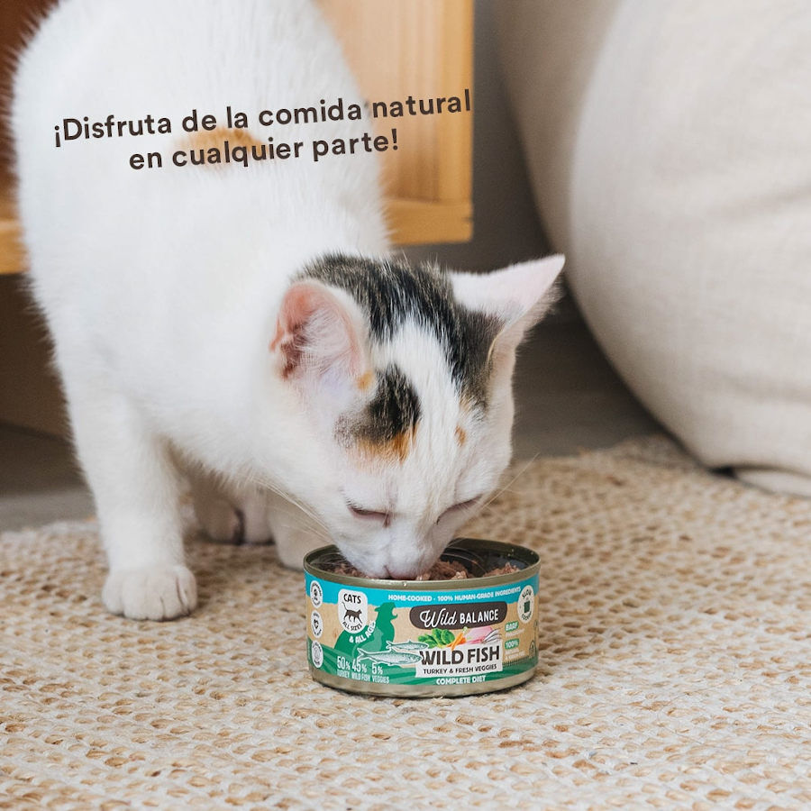 120 g Wild Balance BARF Pescado y Pavo lata para gatos, , large Imagen numero 5