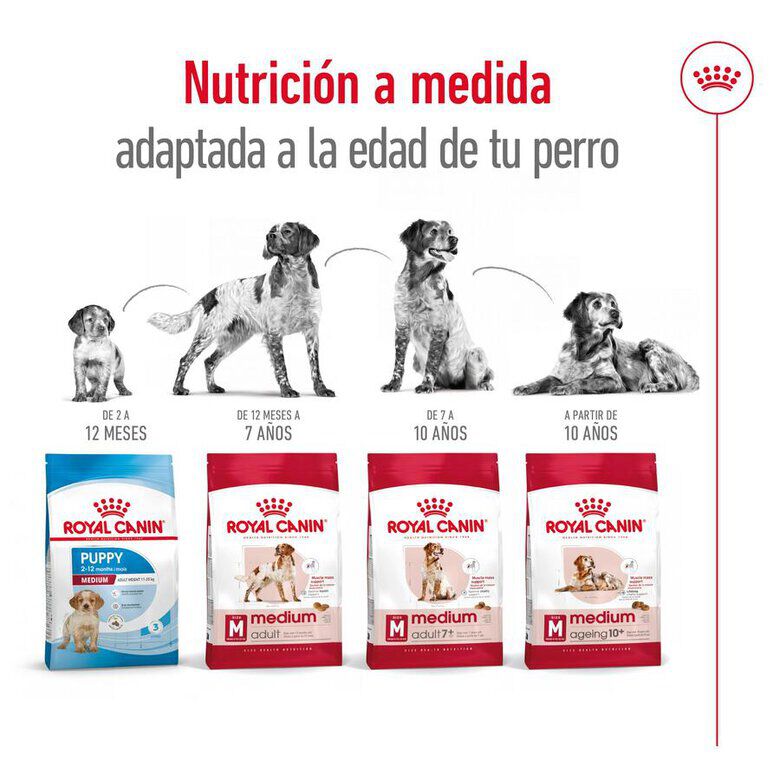 18 kg (15 + 3 kg &iexcl;gratis!) Royal Canin Medium Adult pienso para perros, , large Imagen numero 8