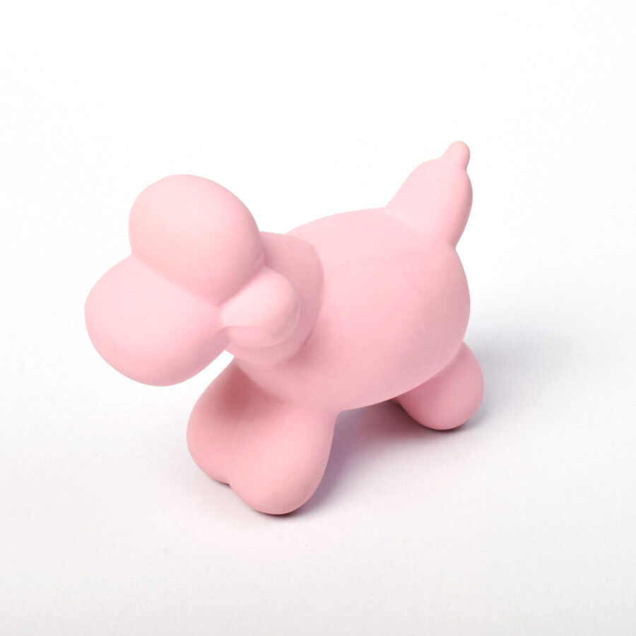 Tootoy! Chew Balloon Poodle mordedor con sonido para perros