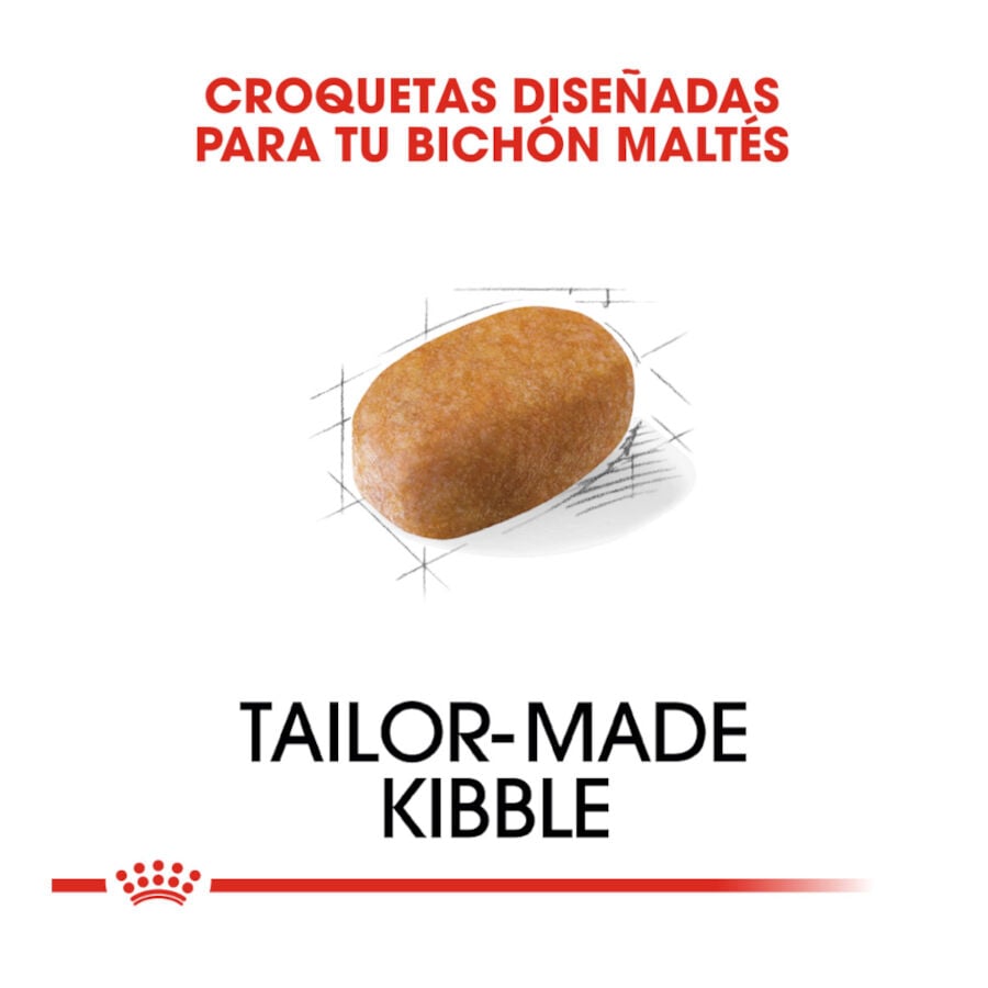 1.5 kg Royal Canin Adult Bich&oacute;n Malt&eacute;s pienso para perros, , large indicador imagen numero 5