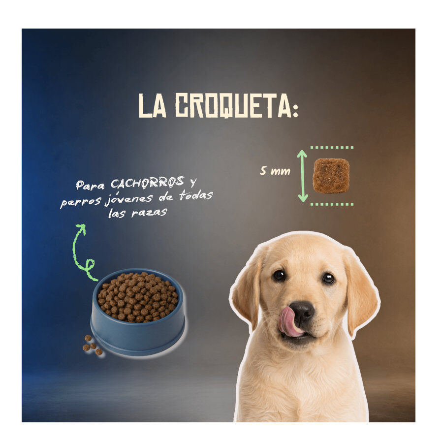 10 kg Lenda Grain Free Conejo puppy pienso para perros, , large indicador imagen numero 7