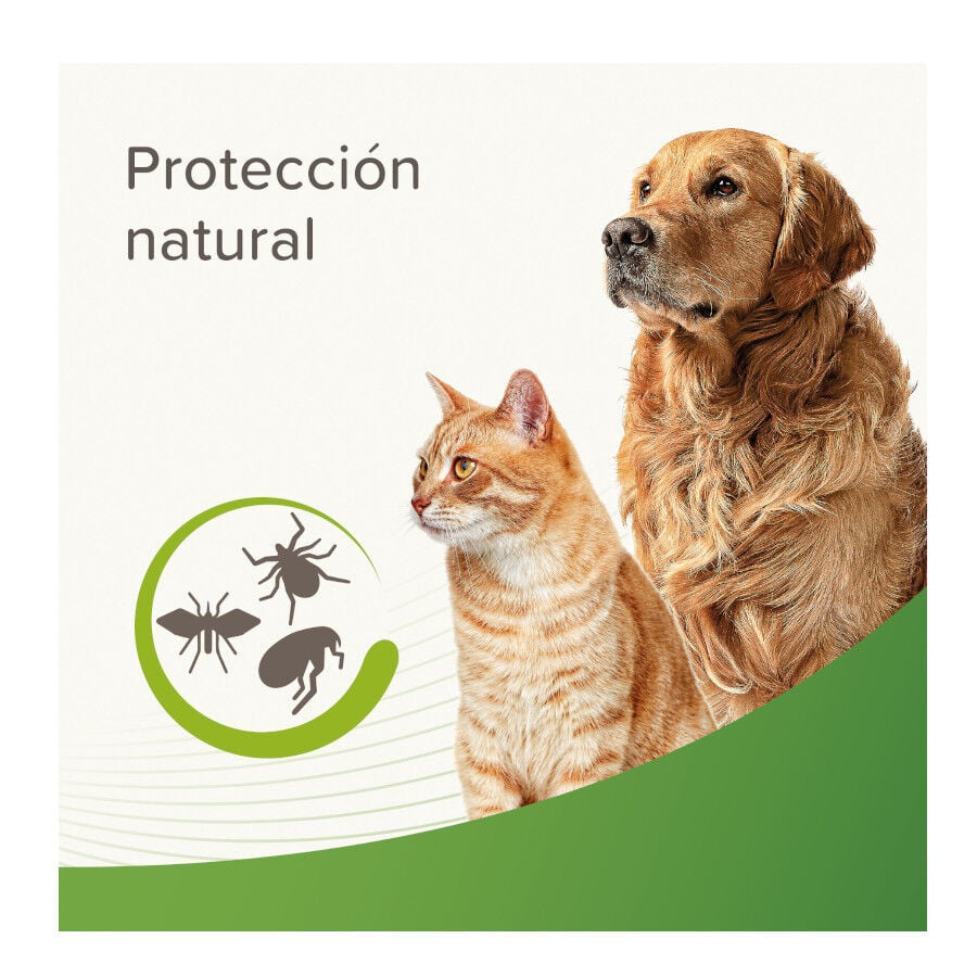Beaphar Champ&uacute; Repelente para perros y gatos, , large Imagen numero 5