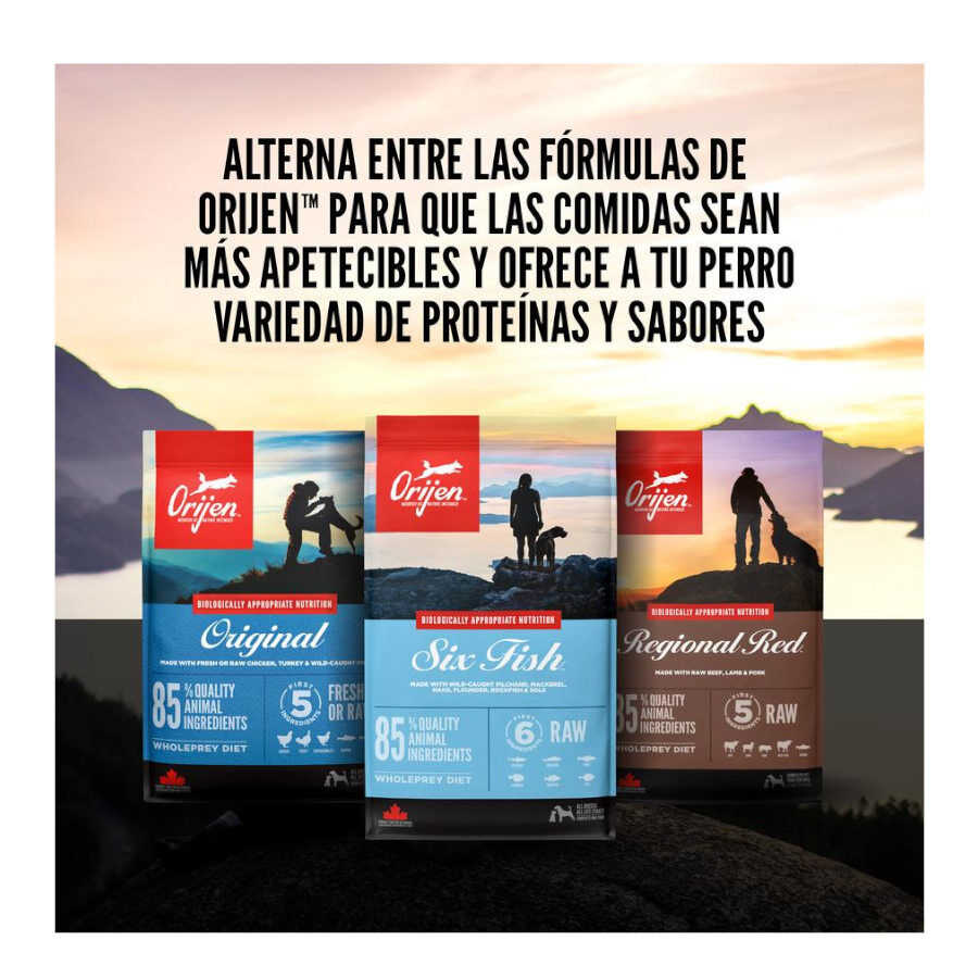 11.4 kg Orijen Adult Regional Red pienso para perros, , large indicador imagen numero 8