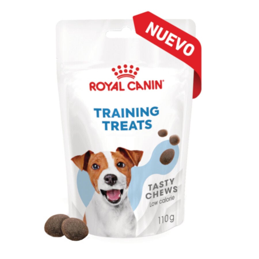 110 g Royal Canin Training Treats Snacks para perros, , large indicador imagen numero 1