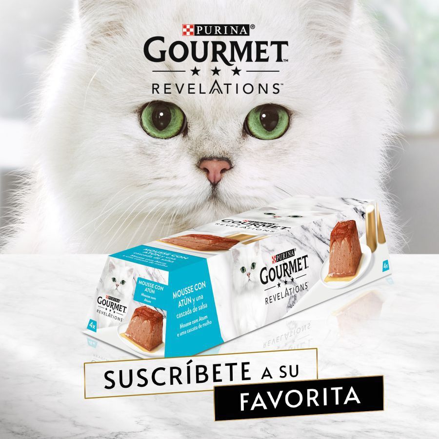 4 tarrinas x 57 g Gourmet Revelations  At&uacute;n tarrinas en mousse para gatos, , large Imagen numero 3