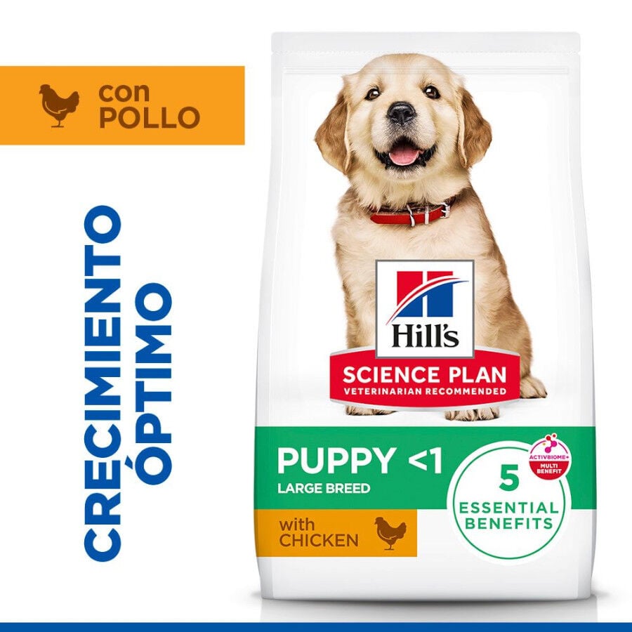 Hill's Science Plan pienso pollo para cachorros de razas grandes
