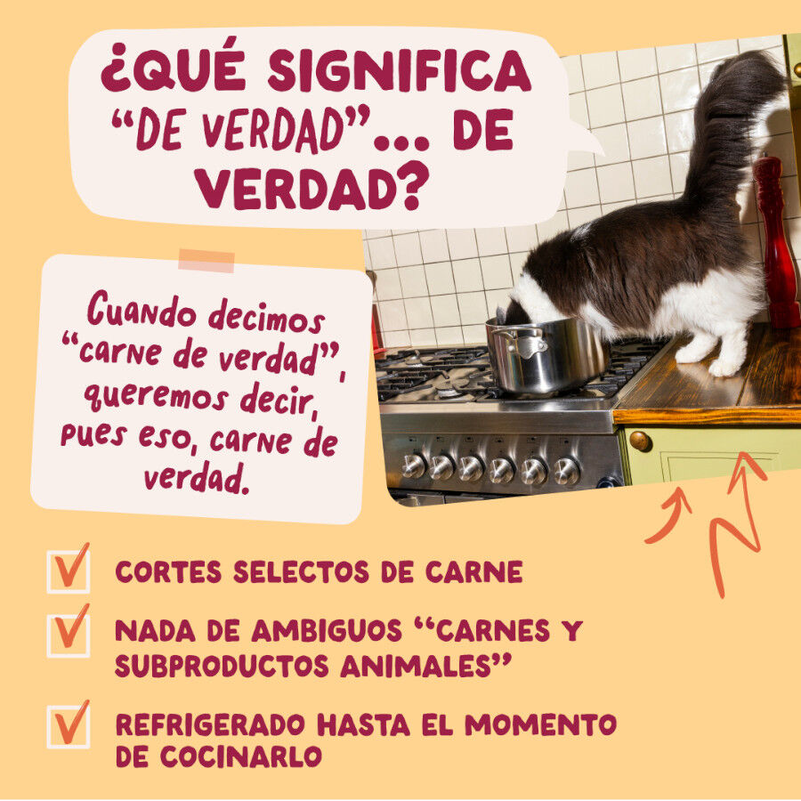 12 x 85 g Edgard & Cooper Festines de la Granja sobre en salsa para gatos, , large indicador imagen numero 5