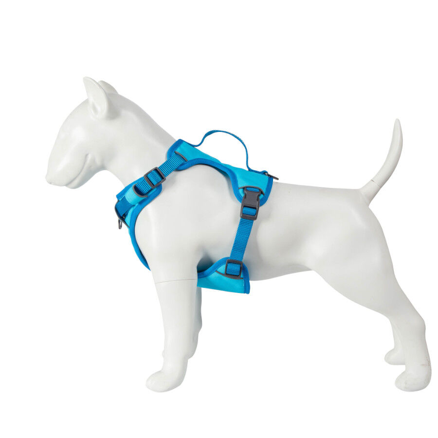 Freedog Cool Pro Tech Arn&eacute;s Refrescante Azul para perros, , large Imagen numero 9