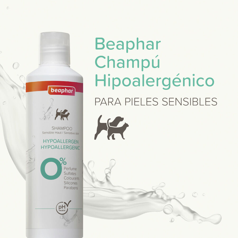 Beaphar Champ&uacute; Hipoalerg&eacute;nico para perros y gatos, , large Imagen numero 2