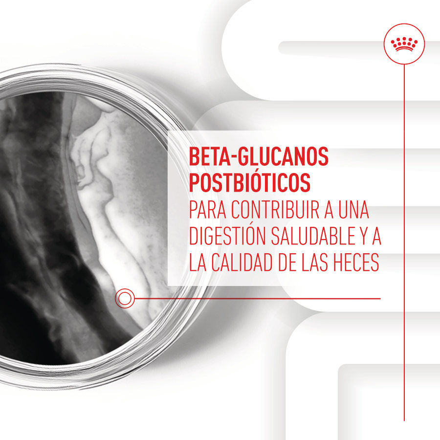 100 g Royal Canin Immunity & Digestion Chews Puppy Suplemento nutricional para perros, , large indicador imagen numero 5