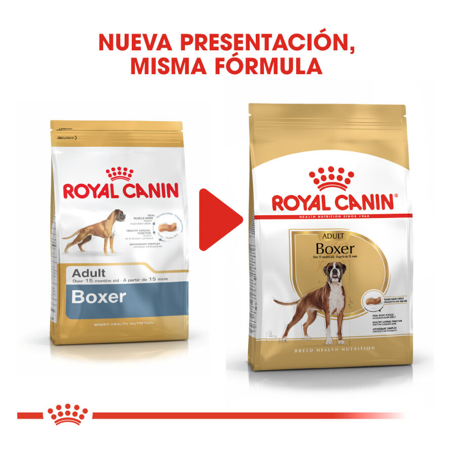 12 kg Royal Canin Adult Boxer pienso para perros, , large Imagen numero 3