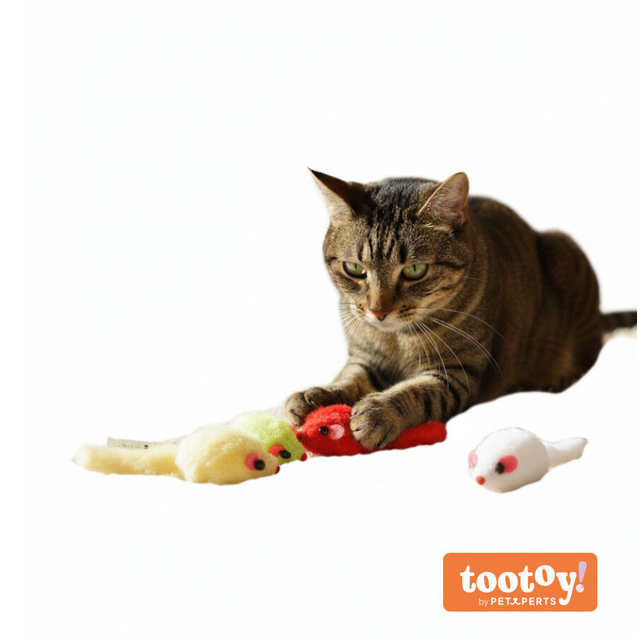 Tootoy! Rat&oacute;n de Peluche Colores Variados para gatos
