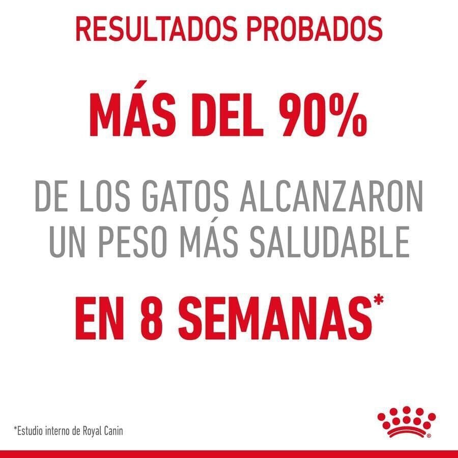 8 kg Royal Canin Adult Light Weight Care pienso para gatos, , large Imagen numero 5