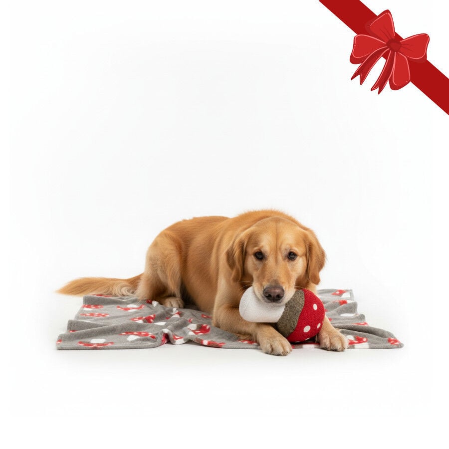 Wonder Christmas Pack Regalo Peluche y Manta Navide&ntilde;a para perros, , large Imagen numero 1