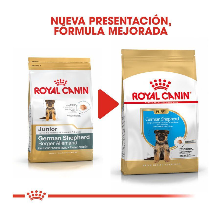 12 kg Royal Canin Puppy Pastor Alem&aacute;n pienso para perros, , large Imagen numero 3