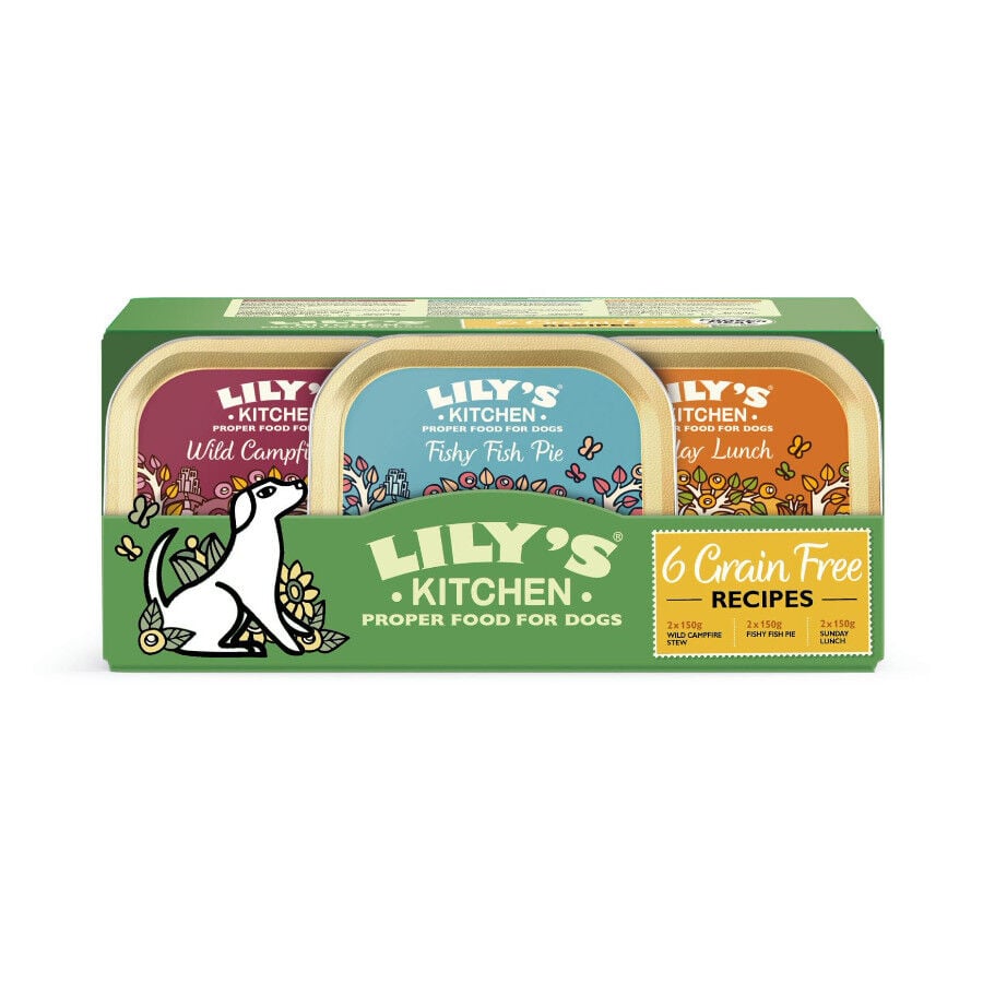 Lily's Kitchen Grain Free tarrinas para perros - Multipack 6 