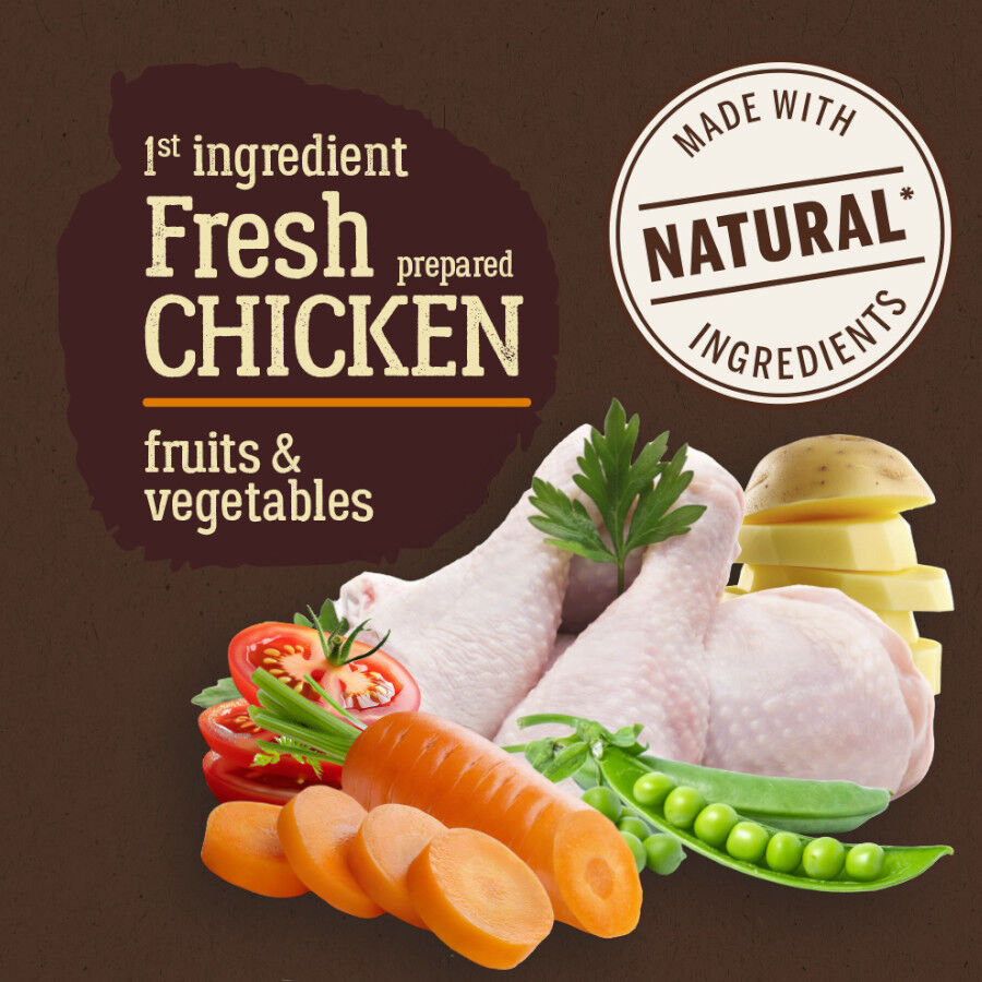 12 kg True Origins Pure Grain Free Adult Maxi Pollo pienso para perros, , large indicador imagen numero 2