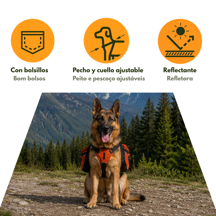 Outech X-perience Arn&eacute;s Multiusos para perros, , large indicador imagen numero 4