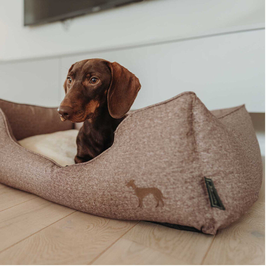 Hunter Boston Cozy Cama Marr&oacute;n para perros, , large Imagen numero 5
