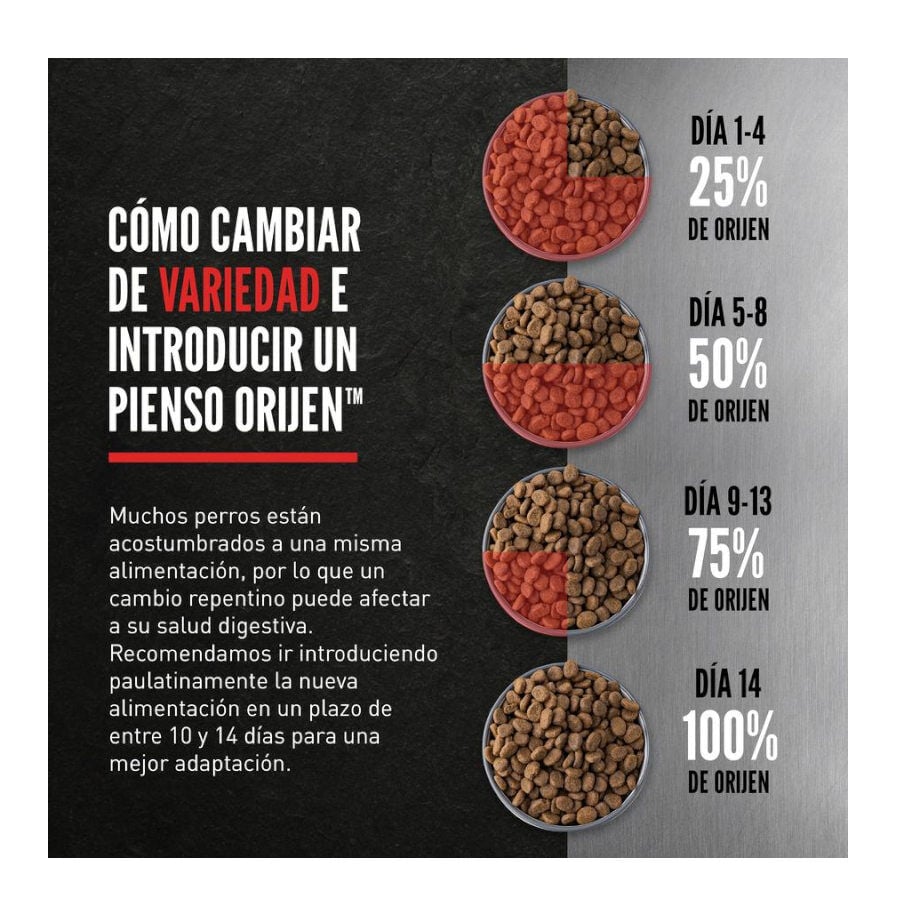 11.4 kg Orijen Adult Regional Red pienso para perros, , large Imagen numero 6