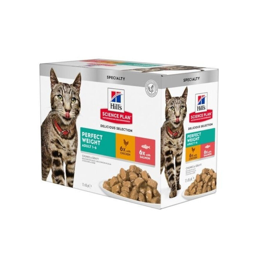 Hill's Science Plan Perfect Weight Salm&oacute;n y Pollo sobre para gatos - Multipack 12