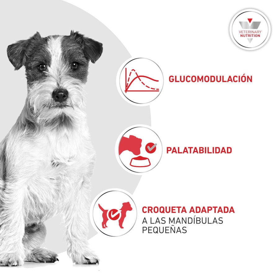 1.5 kg Royal Canin Glycobalance Pienso para perros, , large Imagen numero 4