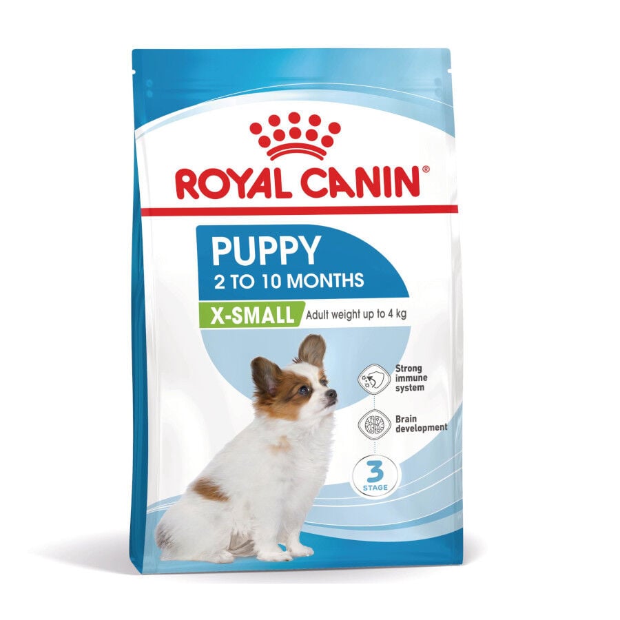 3 kg Royal Canin X-Small Puppy pienso para perros, , large indicador imagen numero 1