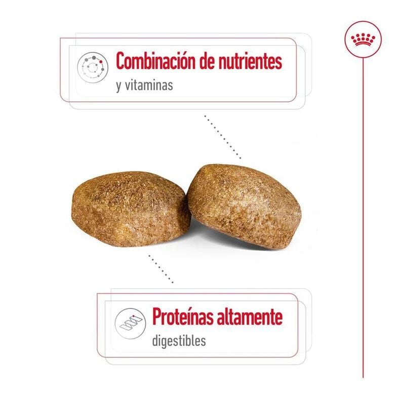 15 kg Royal Canin Giant Adult pienso para perros, , large Imagen numero 6