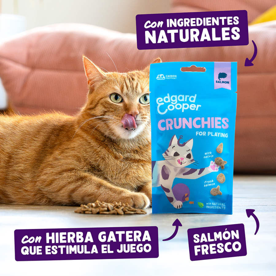 50 g Edgard & Cooper Galletas Crunchies Salmon para gatos, , large indicador imagen numero 2