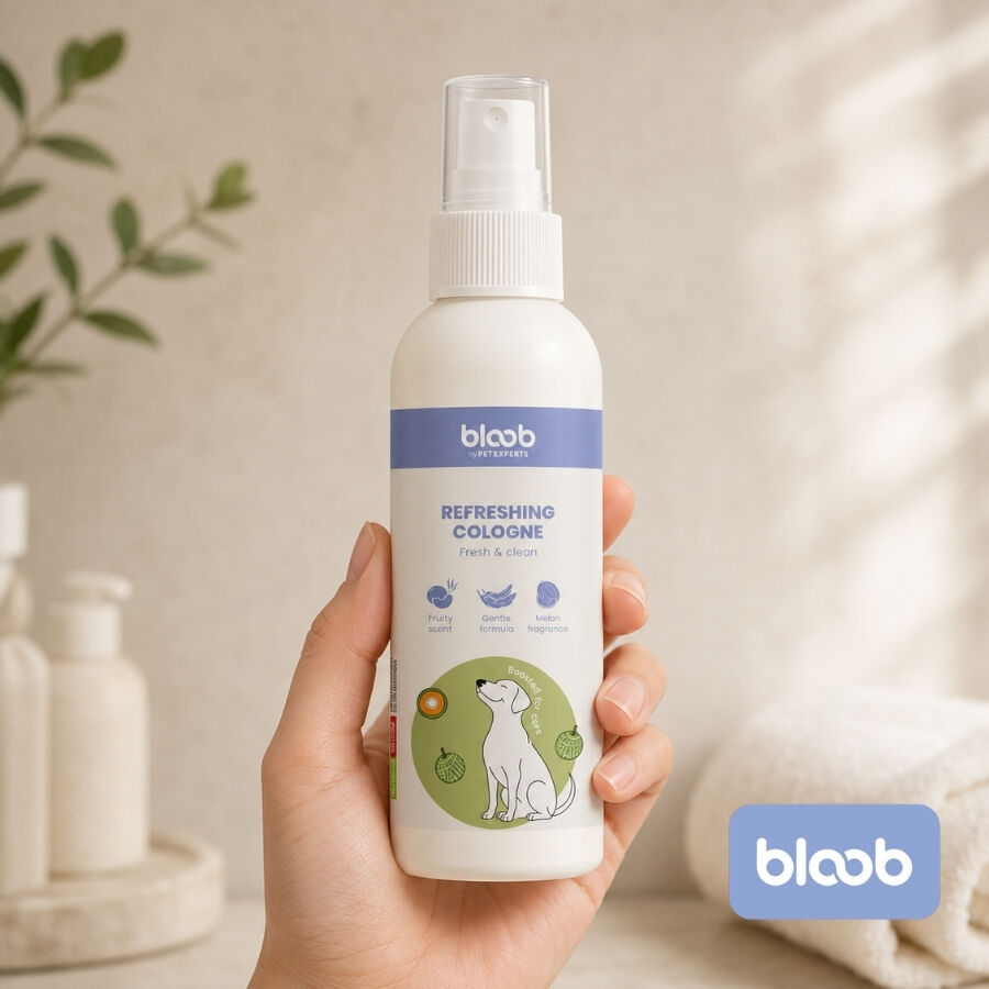 Bloob Colonia Refrescante Mel&oacute;n para perros