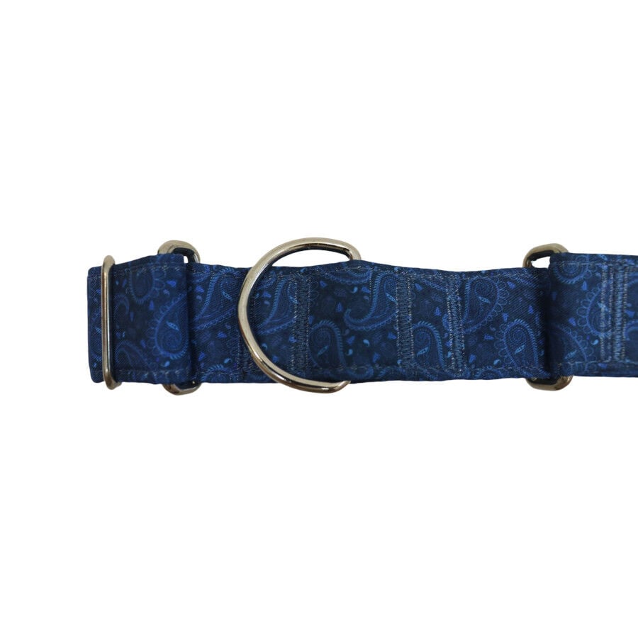 Gotoo Collar martingale estampado azul para perros, , large Imagen numero 3