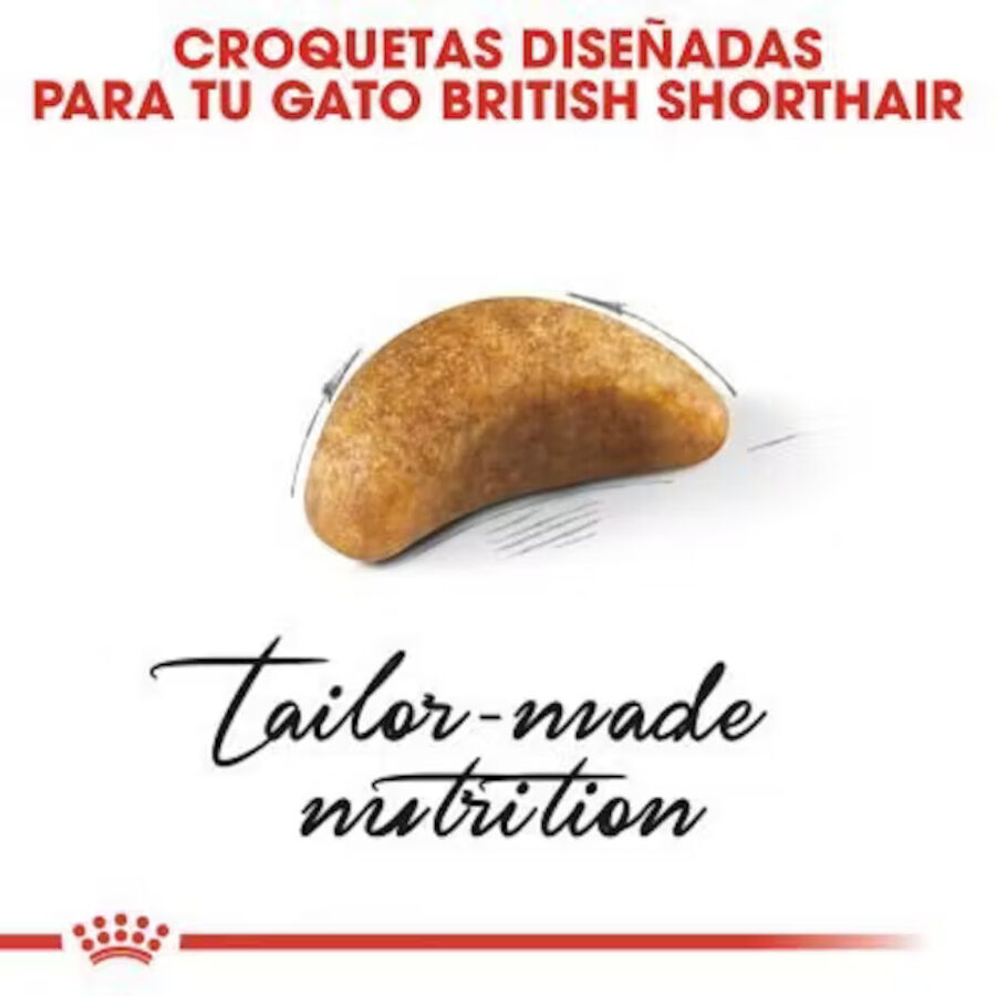 10 kg Royal Canin British Shorthair Kitten pienso para gatos, , large Imagen numero 3