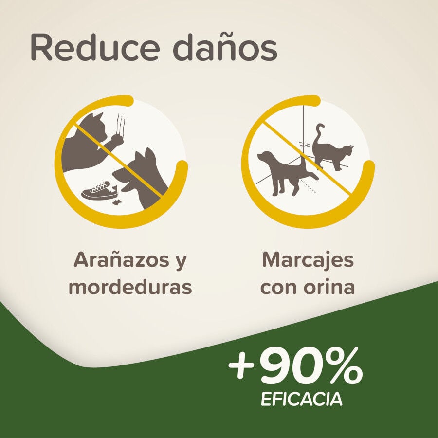 Beaphar Spray Educador  Interiores para Perros y Gatos, , large indicador imagen numero 3