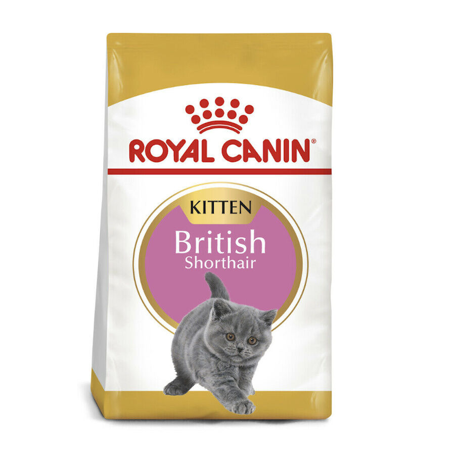 2 kg Royal Canin British Shorthair Kitten pienso para gatos, , large indicador imagen numero 1