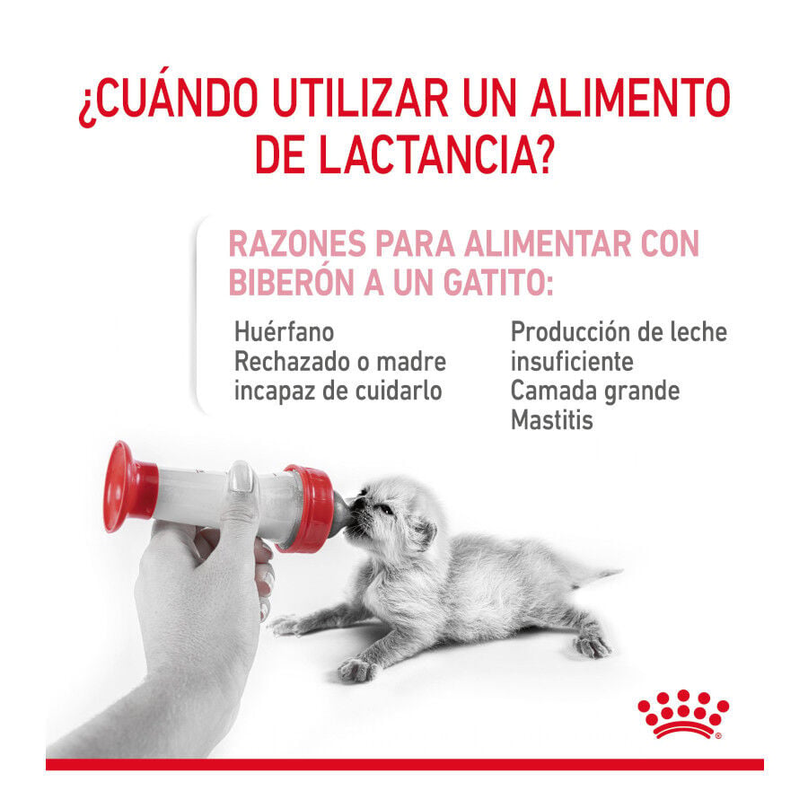 300 g Royal Canin Leche para gatitos primer a&ntilde;o, , large indicador imagen numero 4