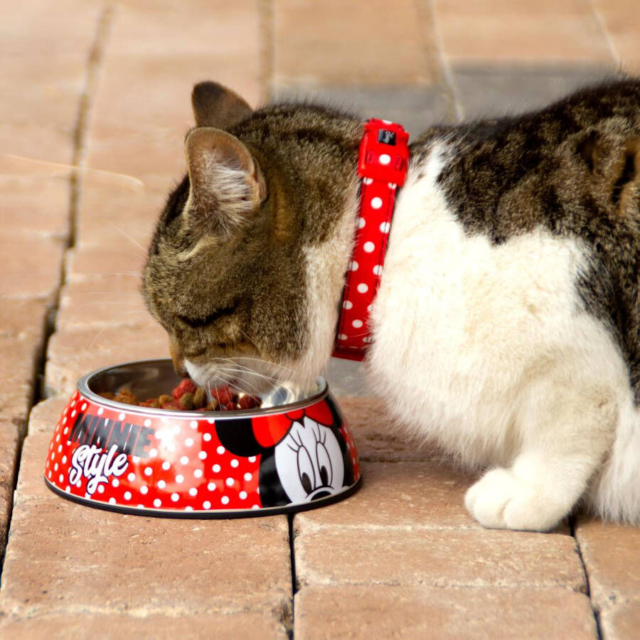 Disney Minnie Mouse Comedero para perros, , large indicador imagen numero 3