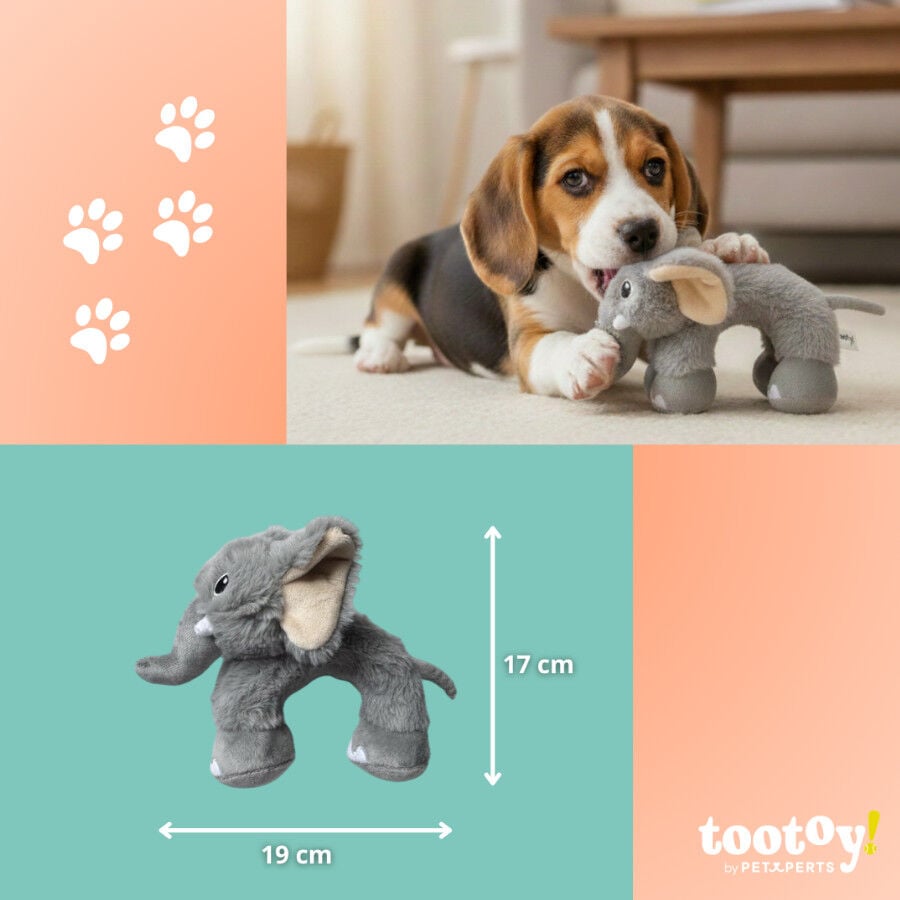 Tootoy! Elefante Mordedor de Peluche para cachorros, , large Imagen numero 4